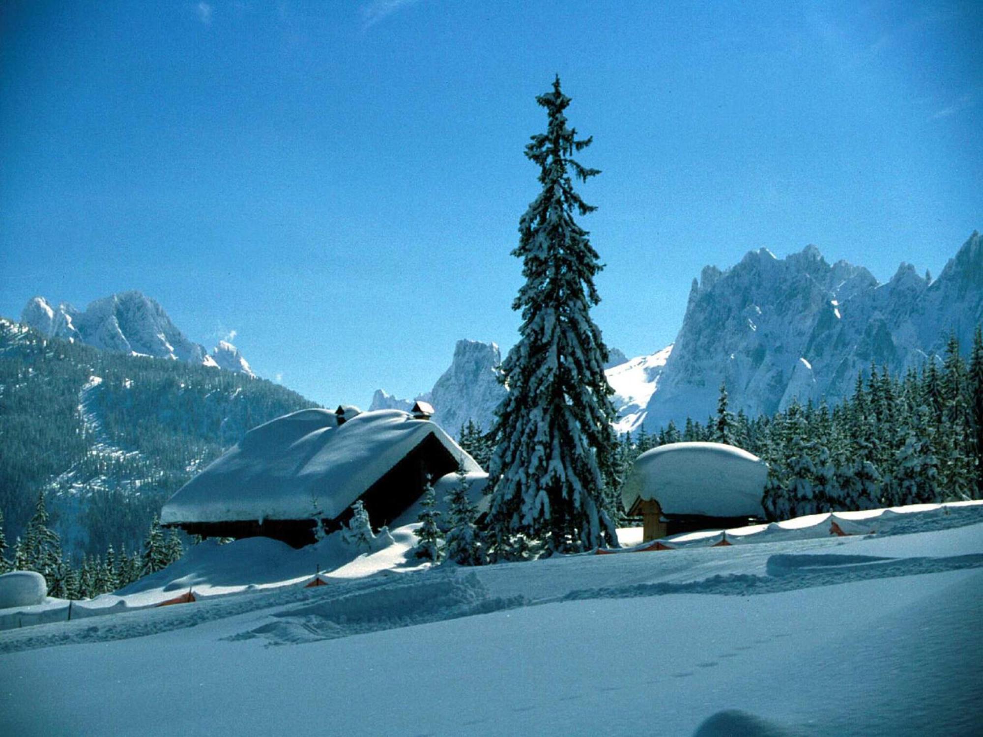 Ferienwohnung Laserer Gosau Extérieur photo
